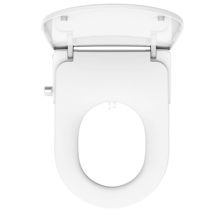 Bidet Toilet