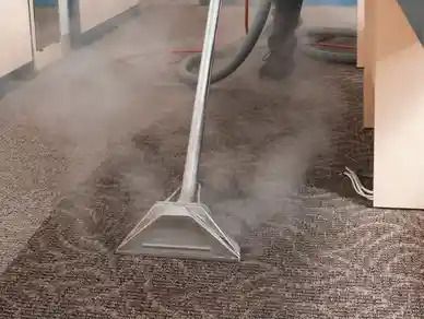 Carpet Stain Removal Acton