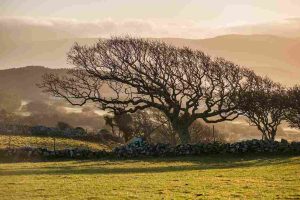 autumn Wales